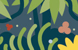 OACSE Rainforest: OACS-E: The Rainforest K-3