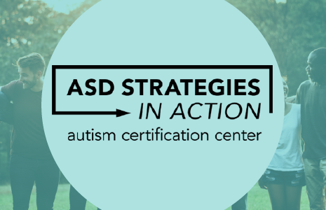 ASD Strategies in Action Project Image: ASD Strategies in Action