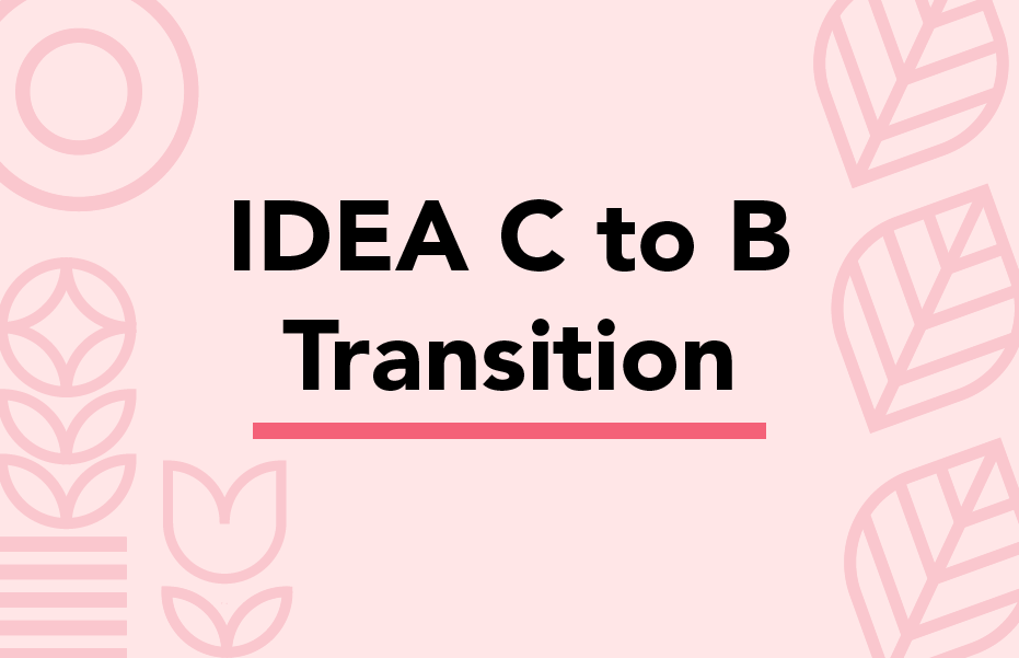C to B Project Image: C to B Training Opportunity