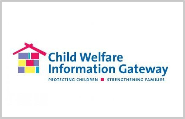 Child Welfare Information Gateway: Special Needs Adoption: What Does It Mean?