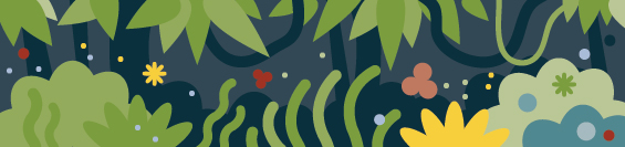 Rainforest