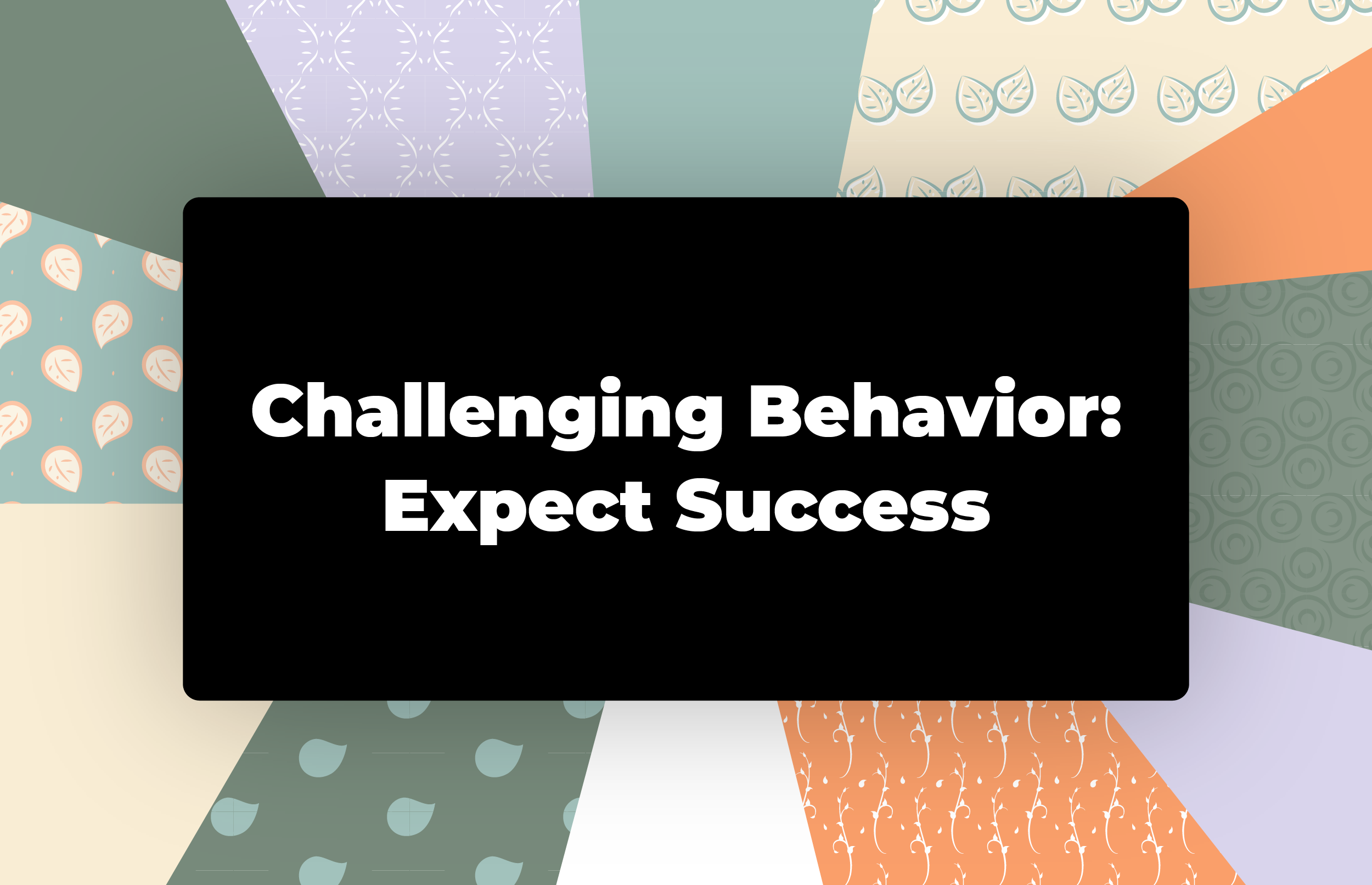 Challenging Behavior Project Image: Challenging Behavior: Expect Success Part 14