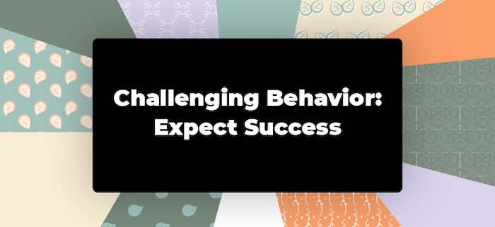 Challenging Behavior Web Slide