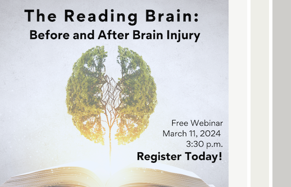 The Reading Brain