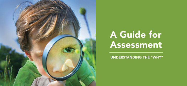 A Guide for Assessment